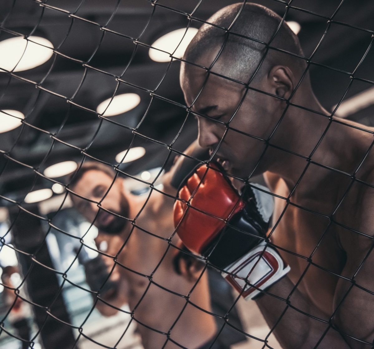 Two men in boxing gloves and shorts are fighting in cage