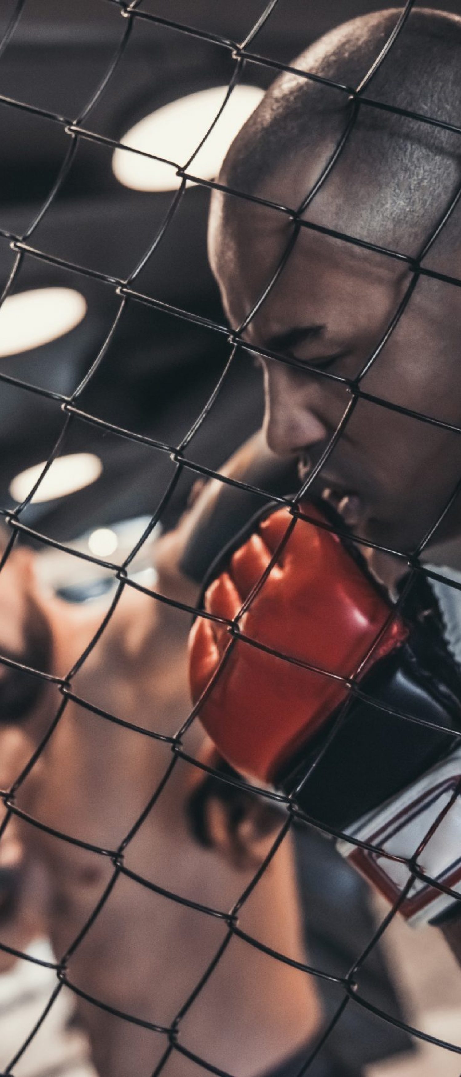 Two men in boxing gloves and shorts are fighting in cage